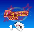 Deuces Wild 1 Hand