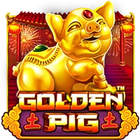 Golden Pig